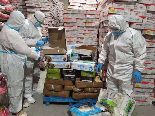 烏蘭察布市場監(jiān)管局強化進口冷鏈?zhǔn)称放c奶制品監(jiān)管，突擊檢查批發(fā)及進出口環(huán)節(jié)