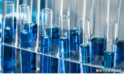 生物制品CDMO服務商鼎康生物完成超1.9億美元A輪融資，加速產(chǎn)業(yè)布局